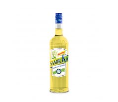 APERITIVO  SAMBUKO’ ( HUGO )