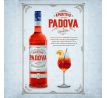 APERITIVO  PADOVA   ( APERY ) 1l 11%