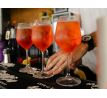 APERITIVO  PADOVA   ( APERY ) 1l 11%
